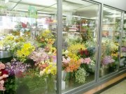 「フラワーショップカトレア」　（宮崎県宮崎市）の花屋店舗写真1